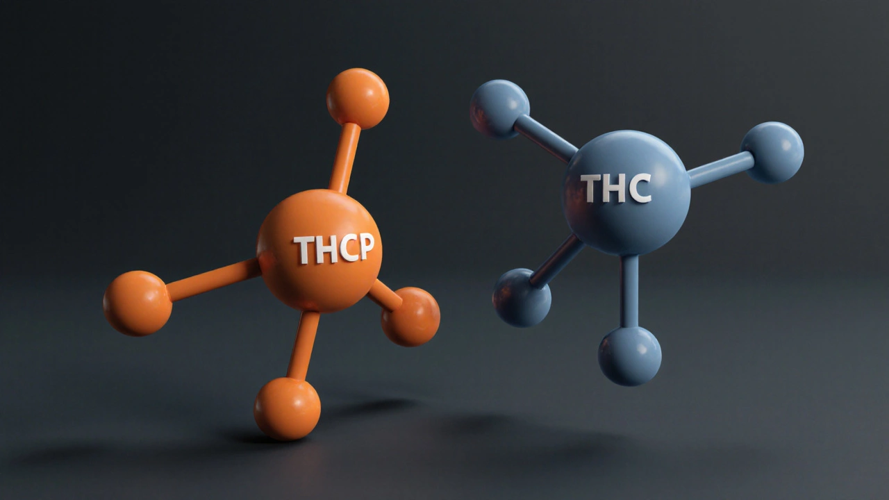 Proč je THCP silnější než jiné kanabinoidy? - srovnání s HHC‑P