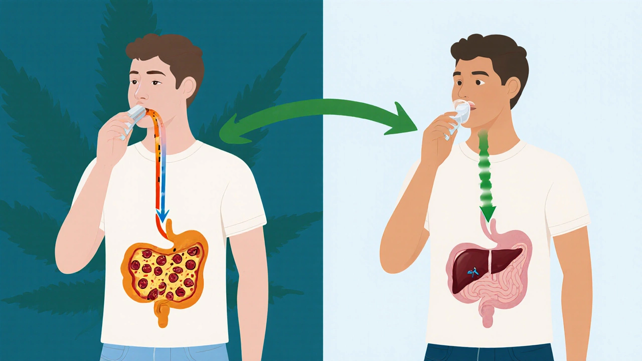 Srovnání vstřebávání CBD přes žaludek při plném a prázdném žaludku.