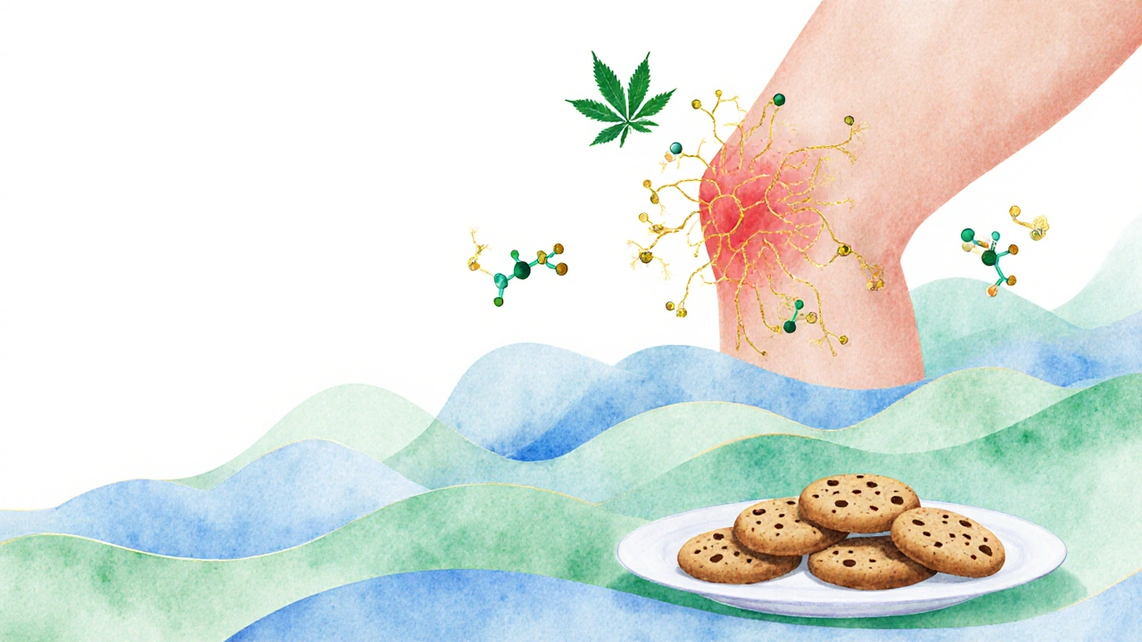 Zvětšený pohled na kloub s CBD molekulami snižujícími zánět, v pozadí sušenky.