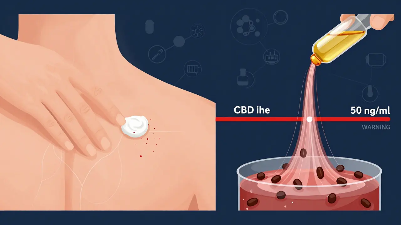 Srovnání vstřebávání THC z CBD krému a oleje: krém má minimální vstřebávání, olej vede k vysokému obsahu v krvi.