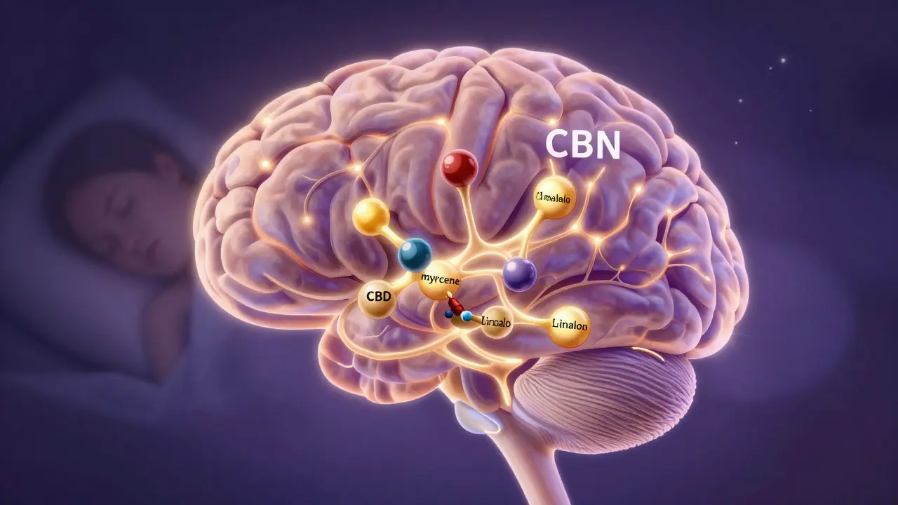 Abstraktní vizualizace molekul CBN a terpenů ovlivňujících mozek během spánku.