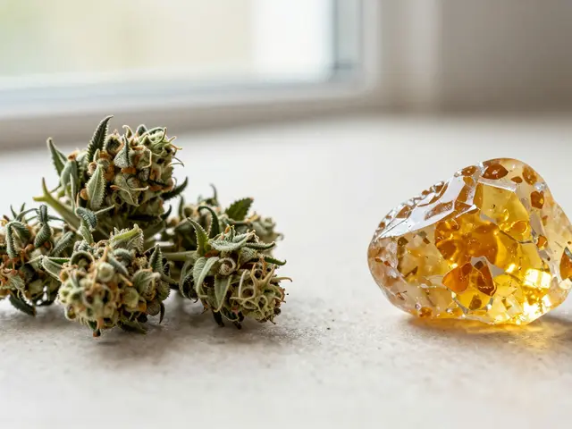 Shatter vs. květy: Který CBD produkt je silnější a proč?