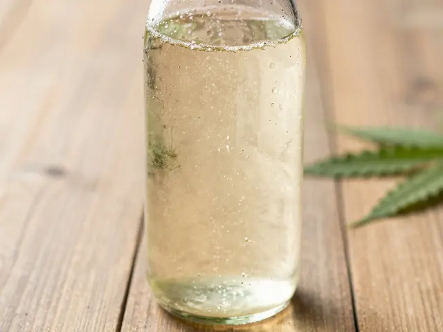 CBD Seltzer: Jak funguje, účinky a co můžete očekávat