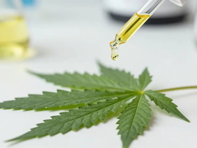 Jaké jsou zdravotní benefity CBD? Přehled účinků, vědeckých důkazů a bezpečného užívání